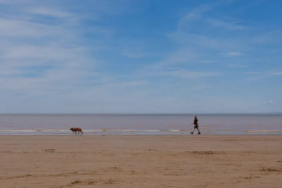 A walker and dog on the open sands at Berrow beach near Burnham-on-Sea, with the muddy Bristol Channel and wide sky behind