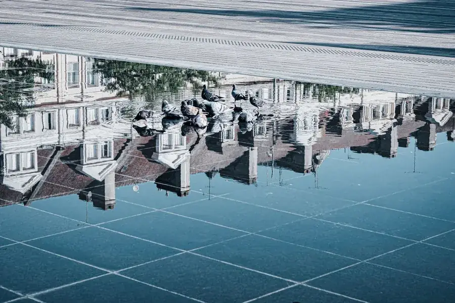 Standing water sitting on a flat roof after rain, a common sign that a covering is nearing the end of its working life