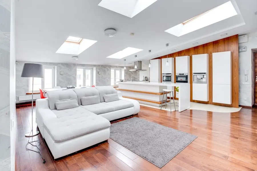 Rooflights set into a flat ceiling, bringing daylight into a single-storey extension