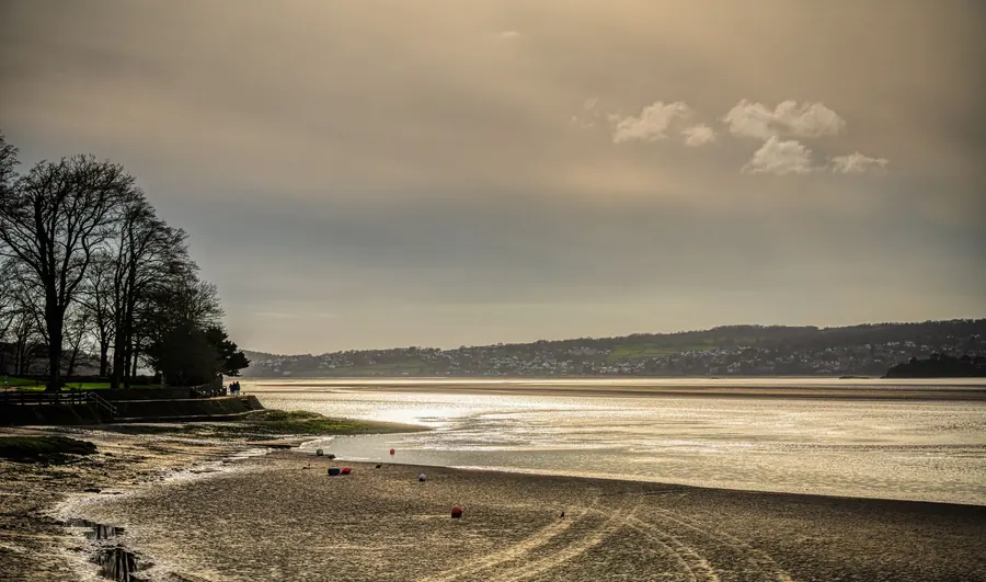 Wide tidal mudflats and shallow water under a pale sky with a wooded shoreline, the type of estuary foreshore that sends salt spray over Clevedon
