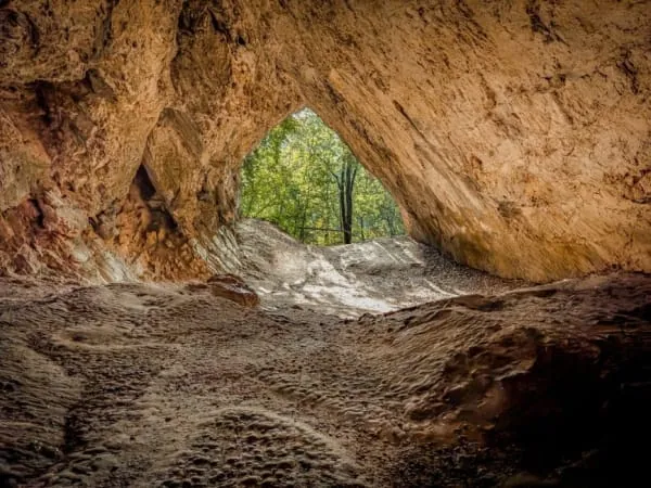A limestone cave entrance in wooded hillside, the setting of the famous Bone Caves above Banwell