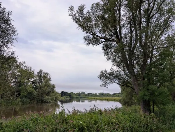 Mature trees over a quiet stretch of river, the kind of space Congresbury's Millennium Green keeps on the Yeo