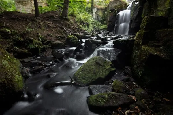A stream and small waterfall in wooded parkland, the valley scenery of Ninesprings at Yeovil Country Park
