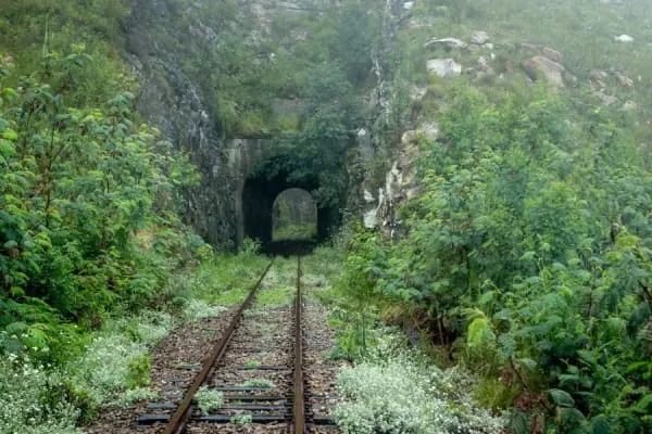 An old railway tunnel portal wrapped in greenery, the kind of relic the Strawberry Line passes at Shute Shelve