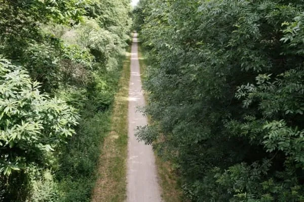 A tree-lined cycling and walking path on an old railway alignment, the Strawberry Line running out of Yatton