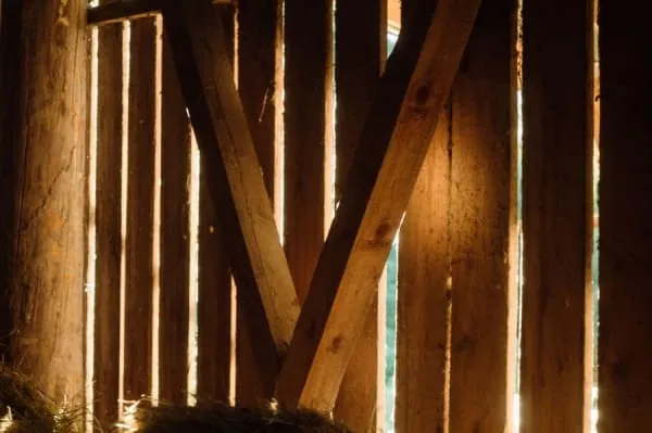 Sunlight through the timbers of an old barn, the kind of oak-framed interior Nailsea's restored Tithe Barn shows off