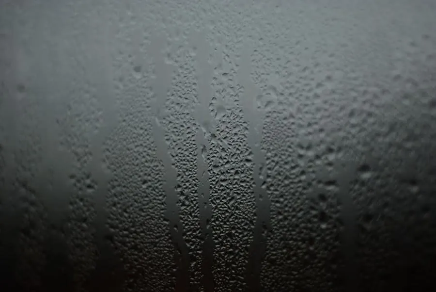 Condensation forming on glazing, commonly mistaken for a rooflight leak in Weston-super-Mare