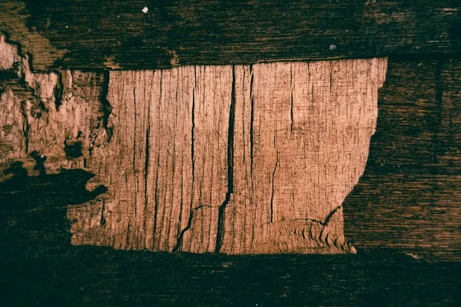 Deteriorated plywood roof decking of the kind found under a leaking flat roof in Weston-super-Mare