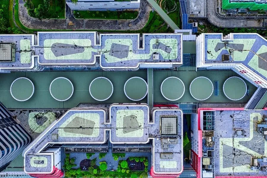 Green roofs seen from above on a cluster of flat-roofed urban buildings