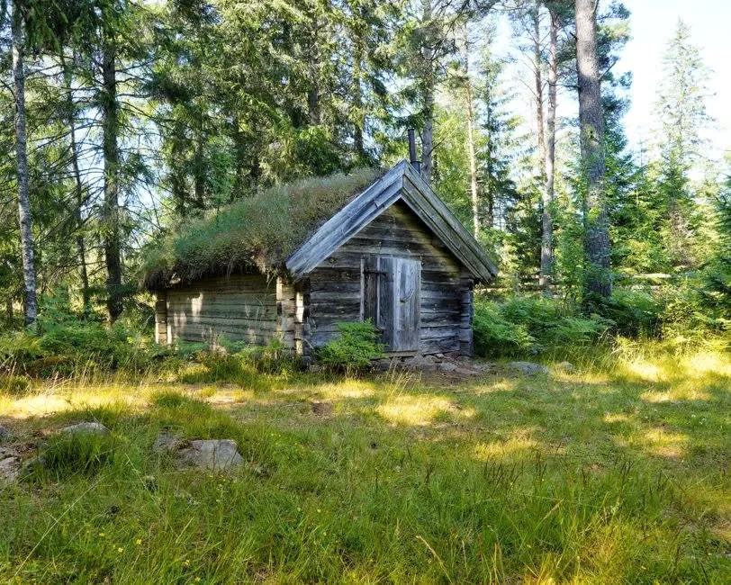 A traditional turf-roofed timber cabin, the ancestor of the modern green roof